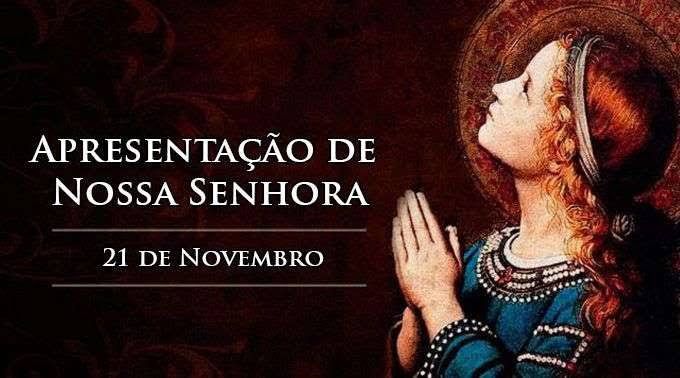 Meditando a Liturgia de hoje – quinta-feira, 21 de Novembro