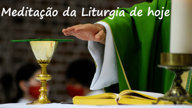 Meditando a Liturgia de hoje – quarta-feira, 20 de Novembro